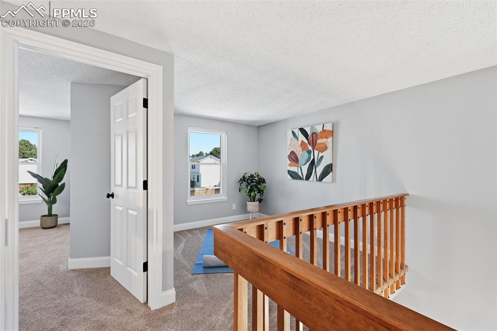 8235 Avens Circle Colorado Springs CO 80920