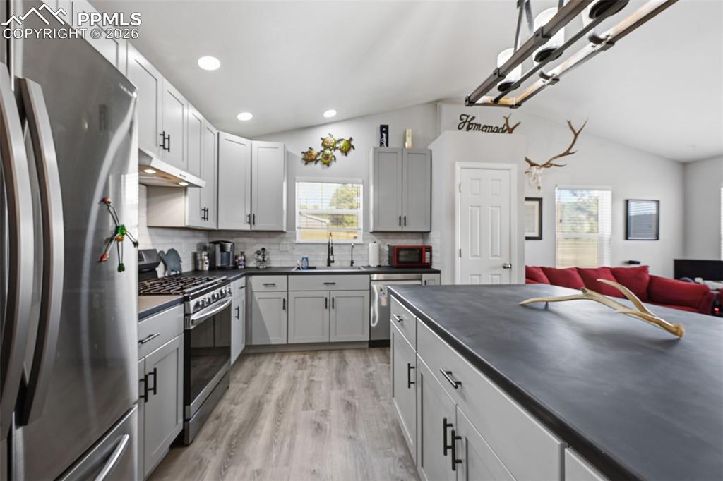 185 Circle Drive Florissant CO 80816