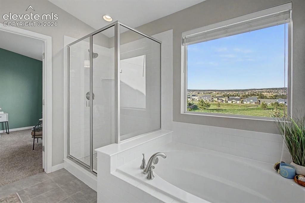 15635 Blue Pearl Court Monument CO 80132