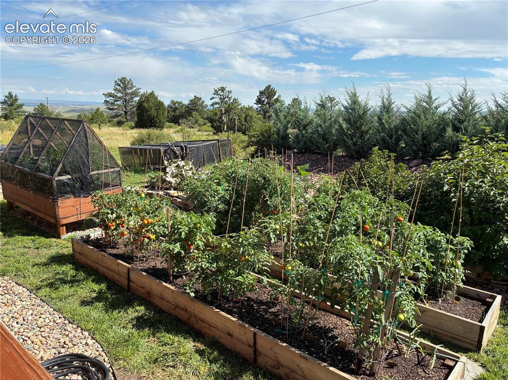 8480 Delaware Road Colorado Springs CO 80926