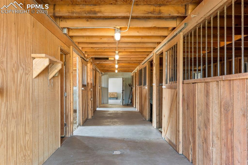 1463 Clarkes Circle Castle Rock CO 80109