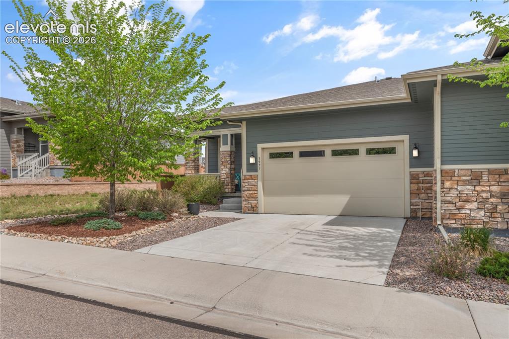 3977 Happy Hollow Drive Castle Rock CO 80104