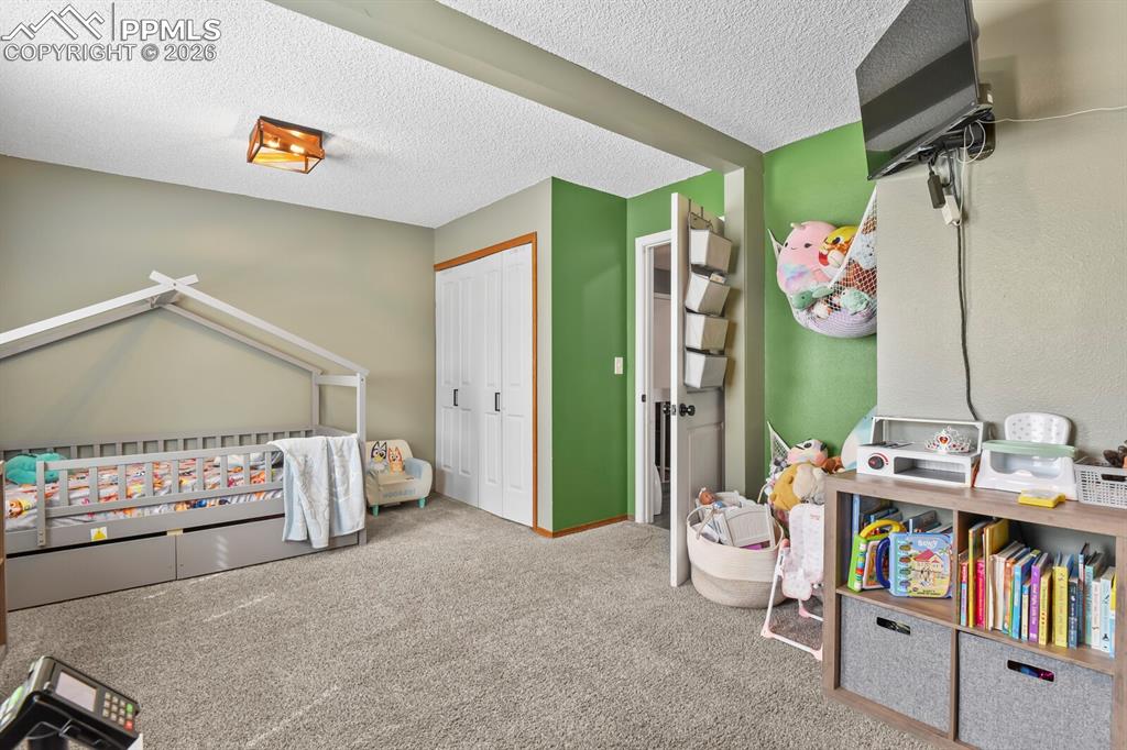 8115 Tulip Tree Court Colorado Springs CO 80920