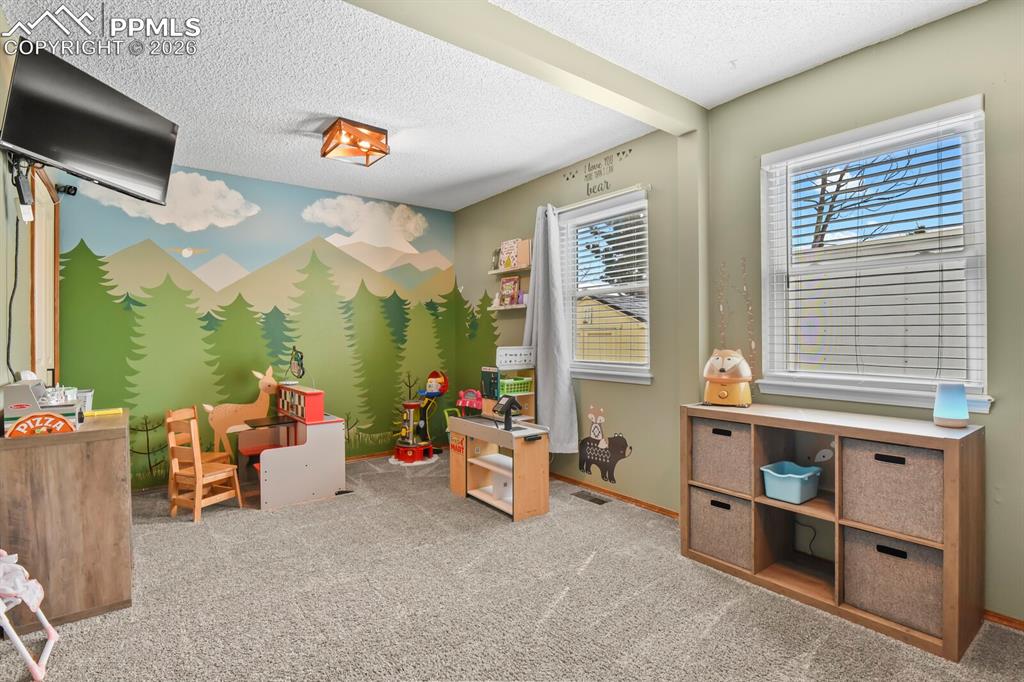 8115 Tulip Tree Court Colorado Springs CO 80920
