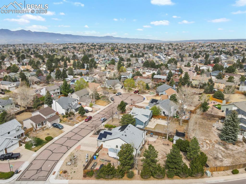 8115 Tulip Tree Court Colorado Springs CO 80920