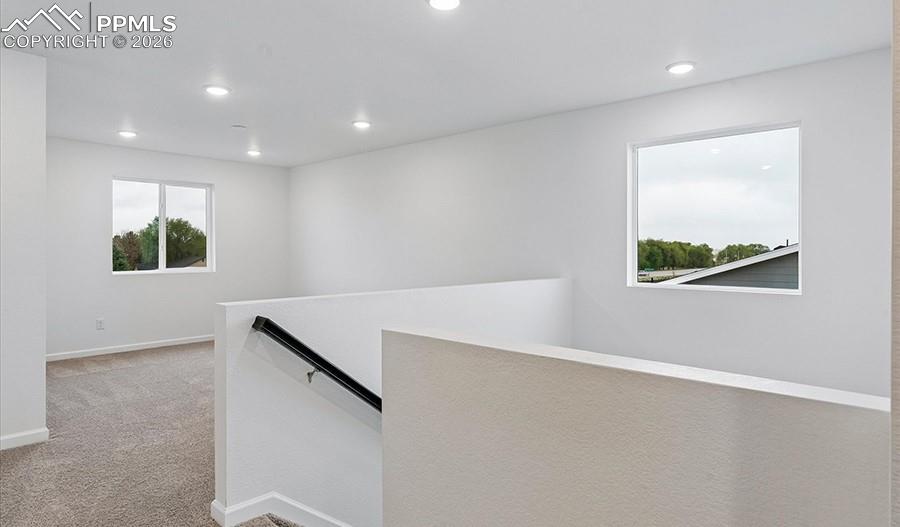9342 Golden Buffs Drive Colorado Springs CO 80925
