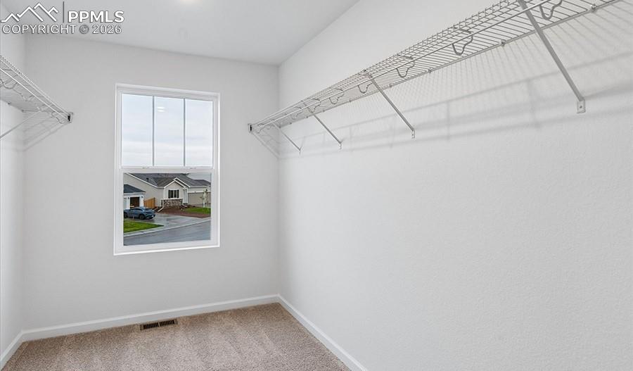 9342 Golden Buffs Drive Colorado Springs CO 80925