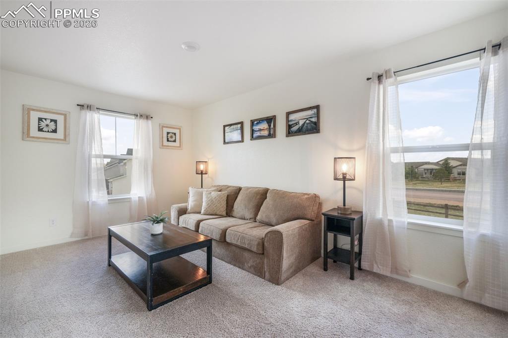 2140 Flame Grass Drive Monument CO 80132