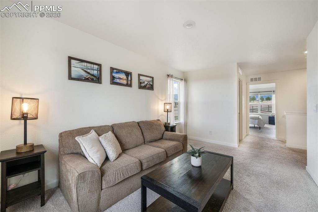 2140 Flame Grass Drive Monument CO 80132