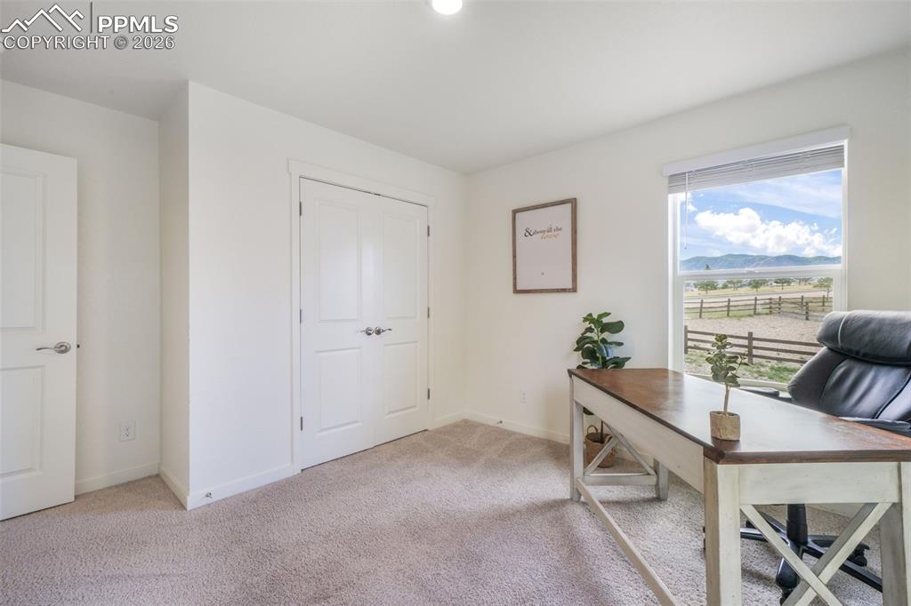2140 Flame Grass Drive Monument CO 80132