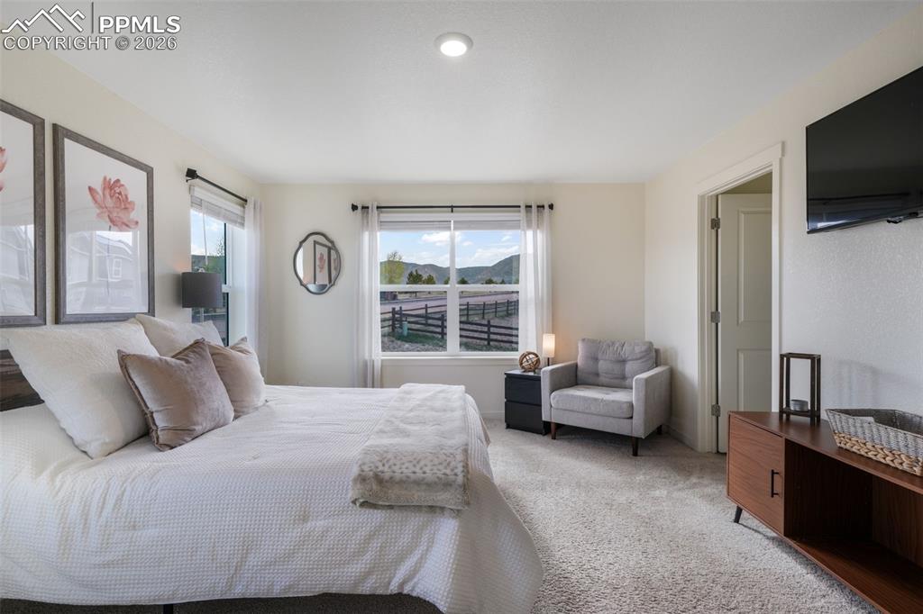 2140 Flame Grass Drive Monument CO 80132