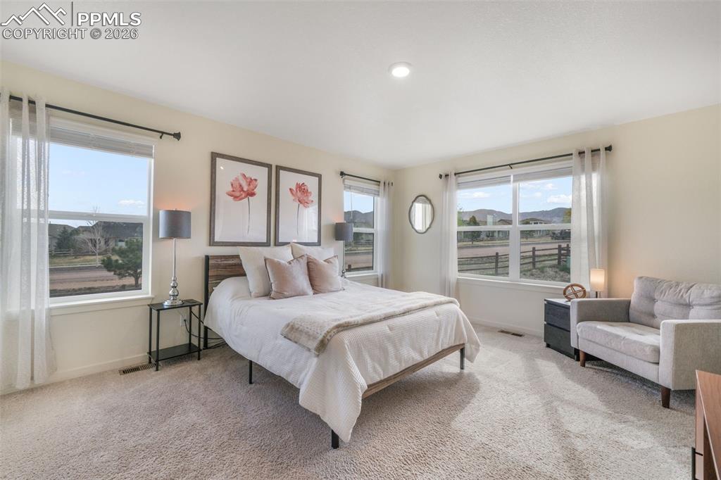 2140 Flame Grass Drive Monument CO 80132