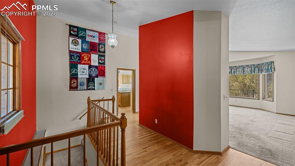 775 Tamarron Drive Colorado Springs CO 80919