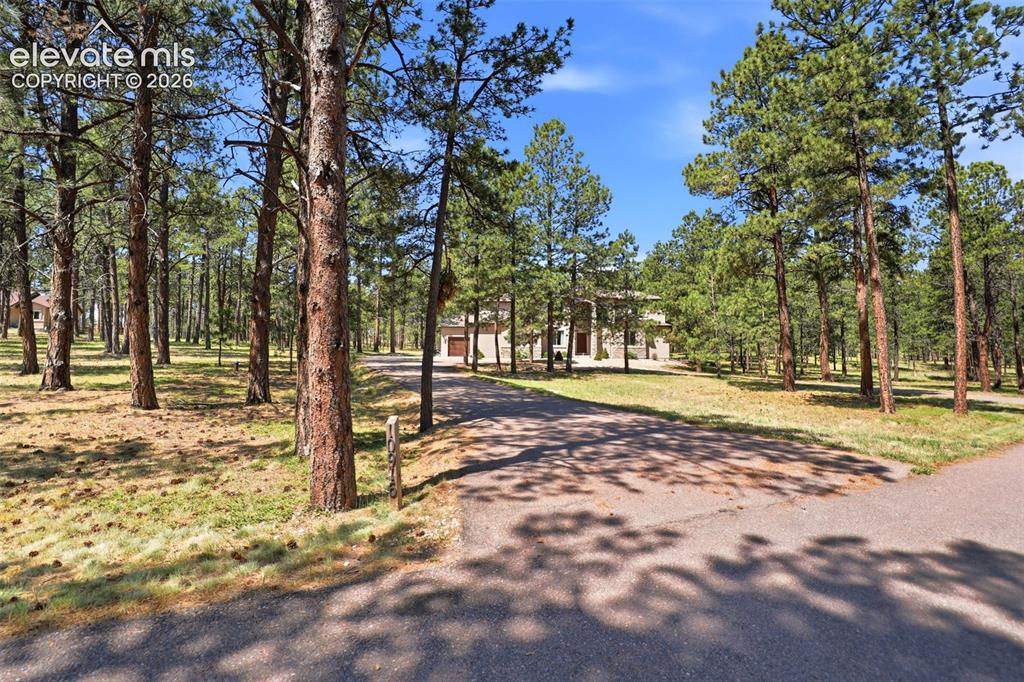 10916 Silver Mountain Point Colorado Springs CO 80908