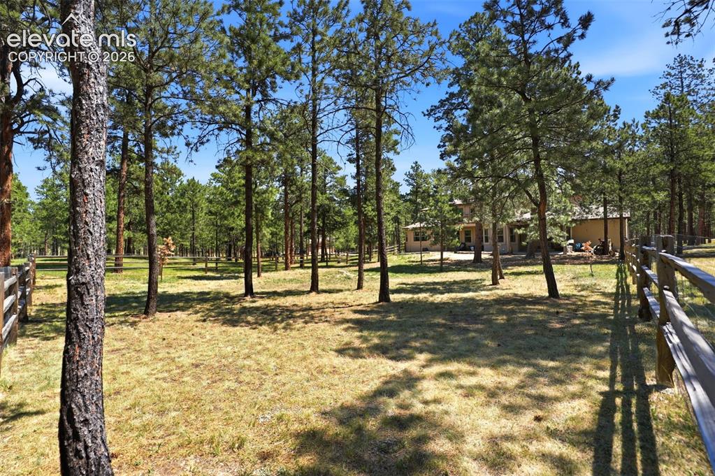 10916 Silver Mountain Point Colorado Springs CO 80908