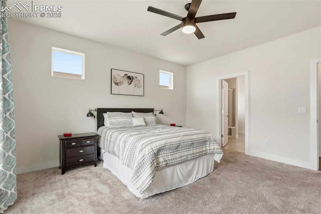 6672 Rolling Creek Drive Colorado Springs CO 80924