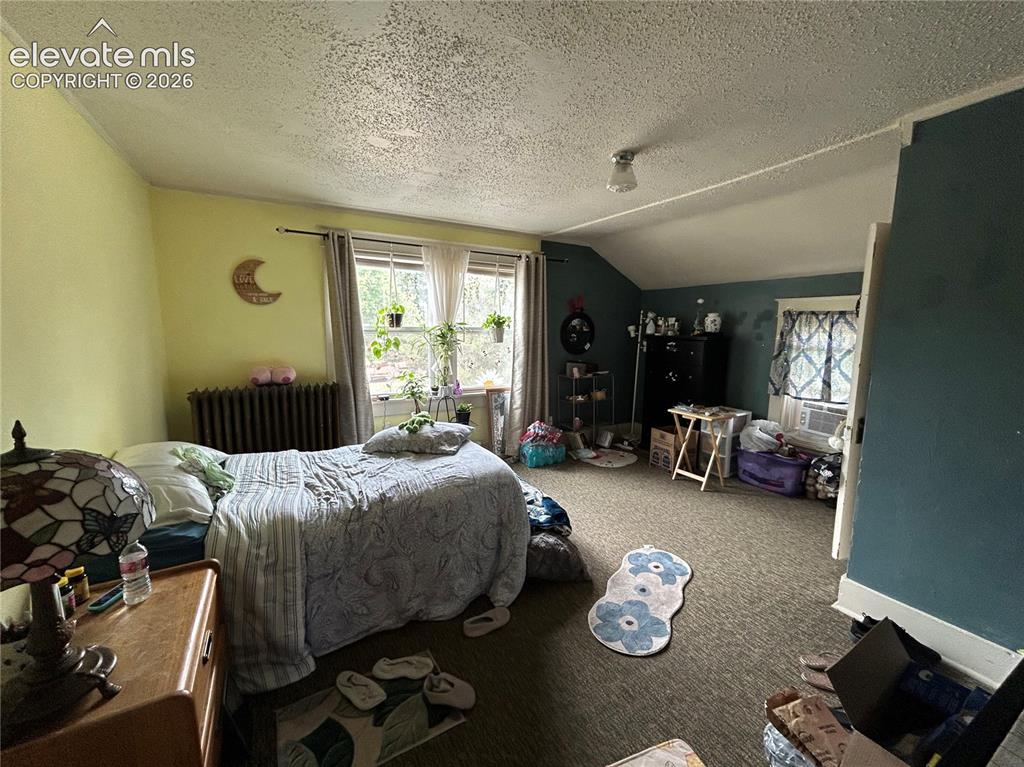 217 S 13th Street Colorado Springs CO 80909