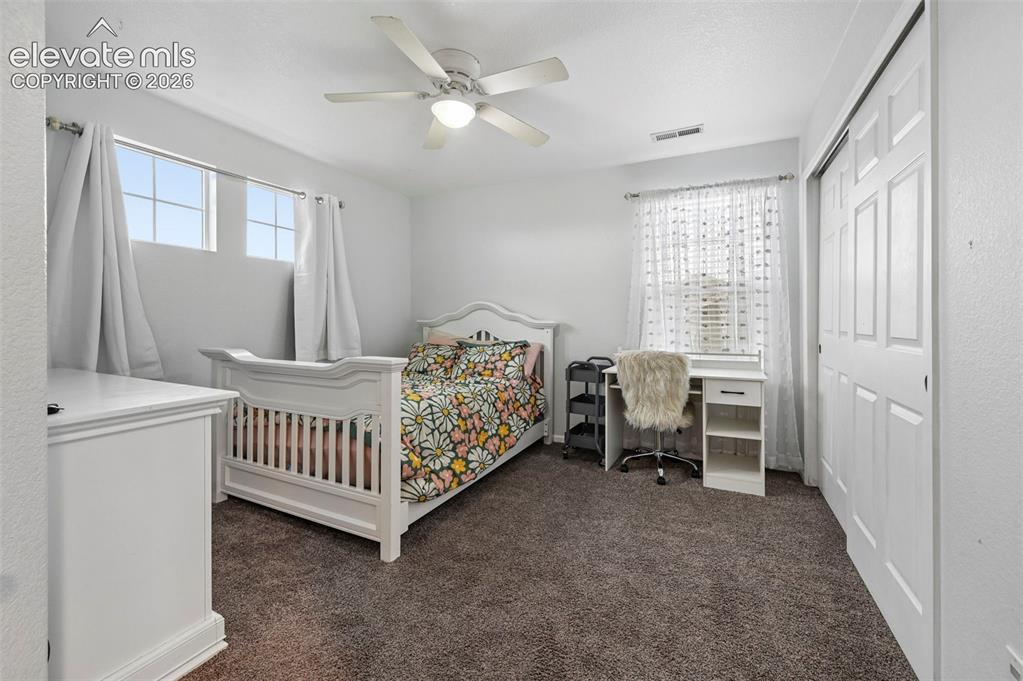 10813 White Sands Court Peyton CO 80831
