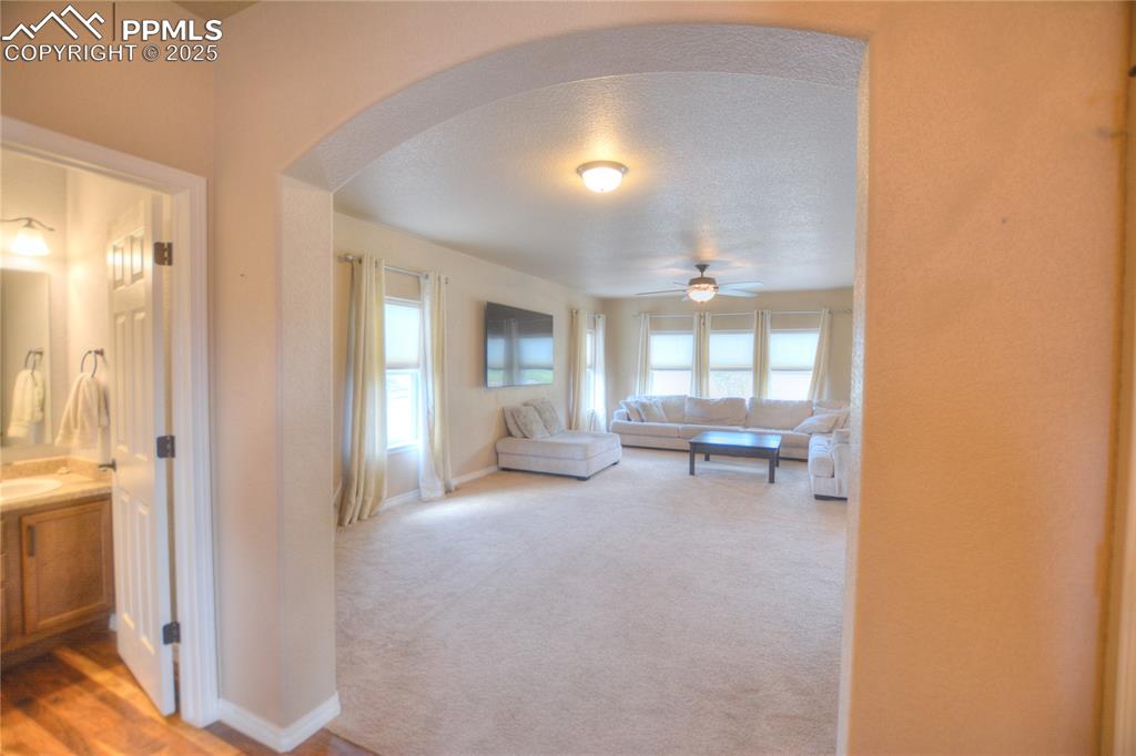 735 Woodmoor Acres Drive Monument CO 80132