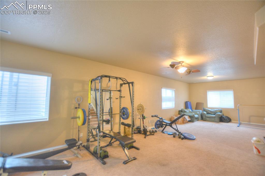 735 Woodmoor Acres Drive Monument CO 80132
