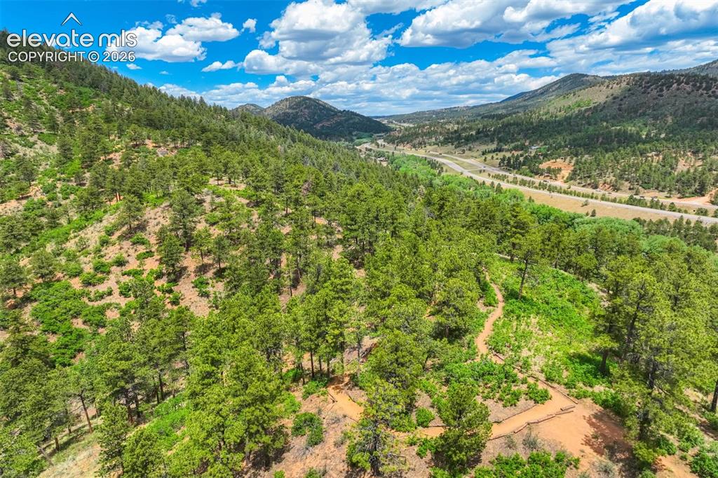 10750 Florence Avenue Green Mountain Falls CO 80819
