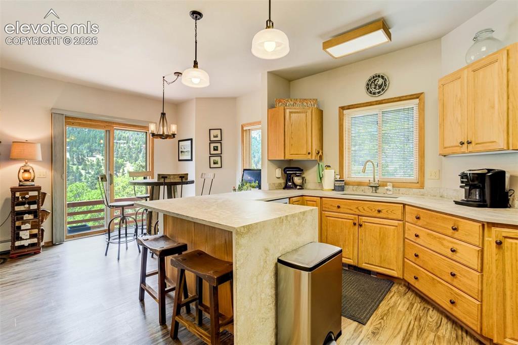 10750 Florence Avenue Green Mountain Falls CO 80819