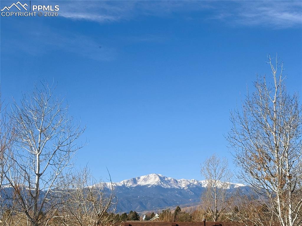 8338 Andrus Drive Colorado Springs CO 80920