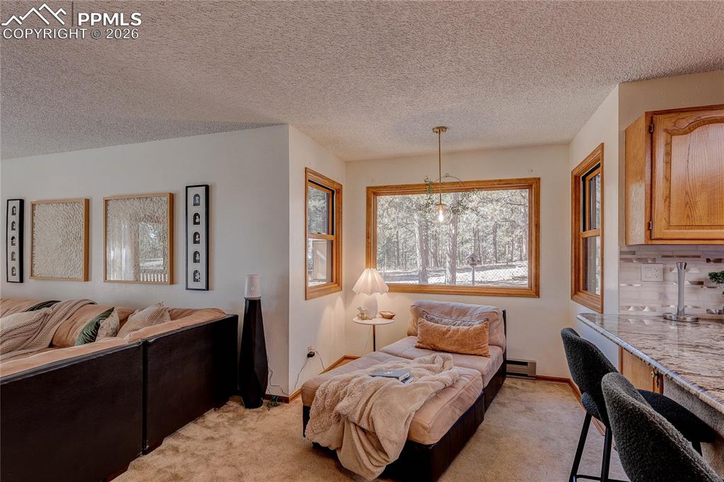 8755 Burgess Road Colorado Springs CO 80908