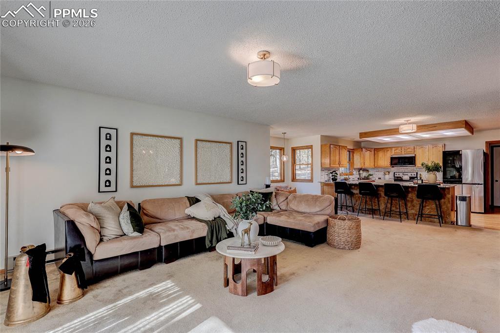 8755 Burgess Road Colorado Springs CO 80908