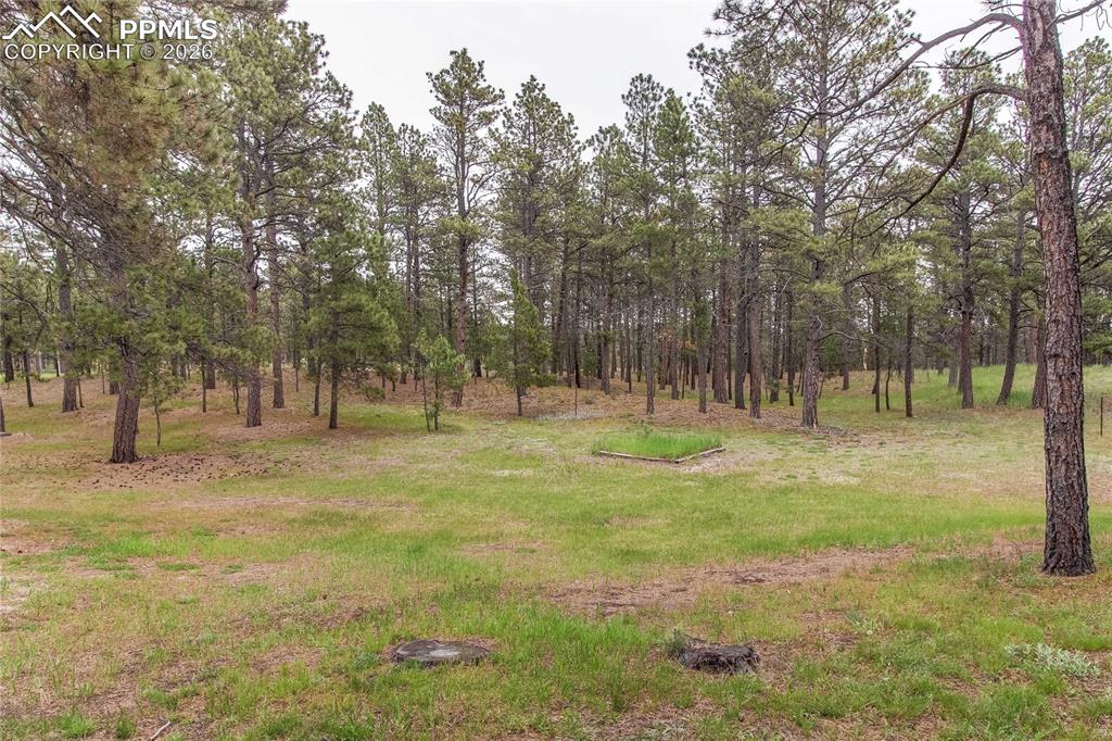 8755 Burgess Road Colorado Springs CO 80908