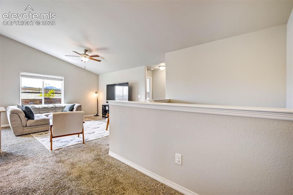 6022 Meadowbank Lane Colorado Springs CO 80925
