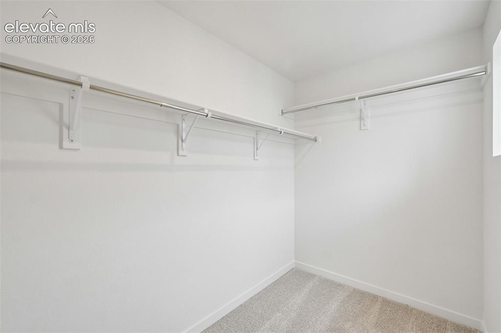 10767 Spalding View Colorado Springs CO 80908