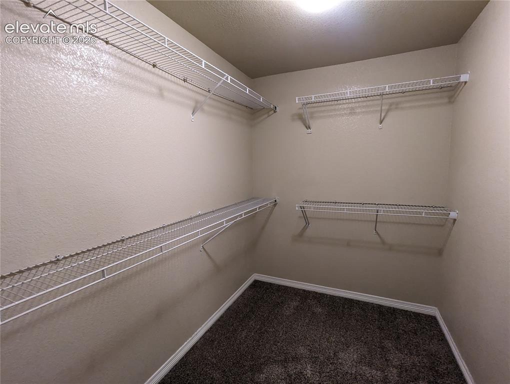 7502 Araia Drive Fountain CO 80817