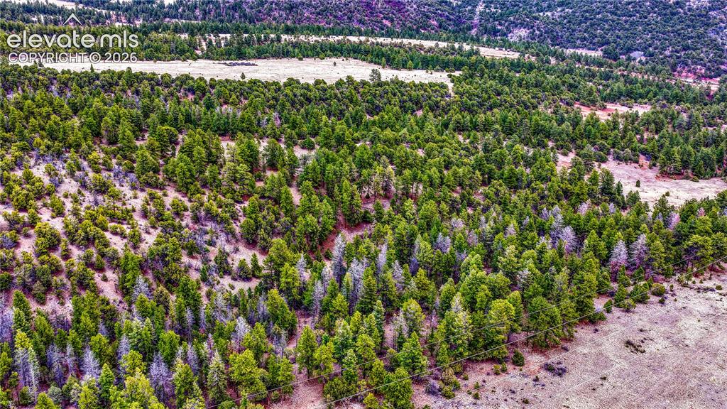 10475 County Road 12 Cotopaxi CO 81223