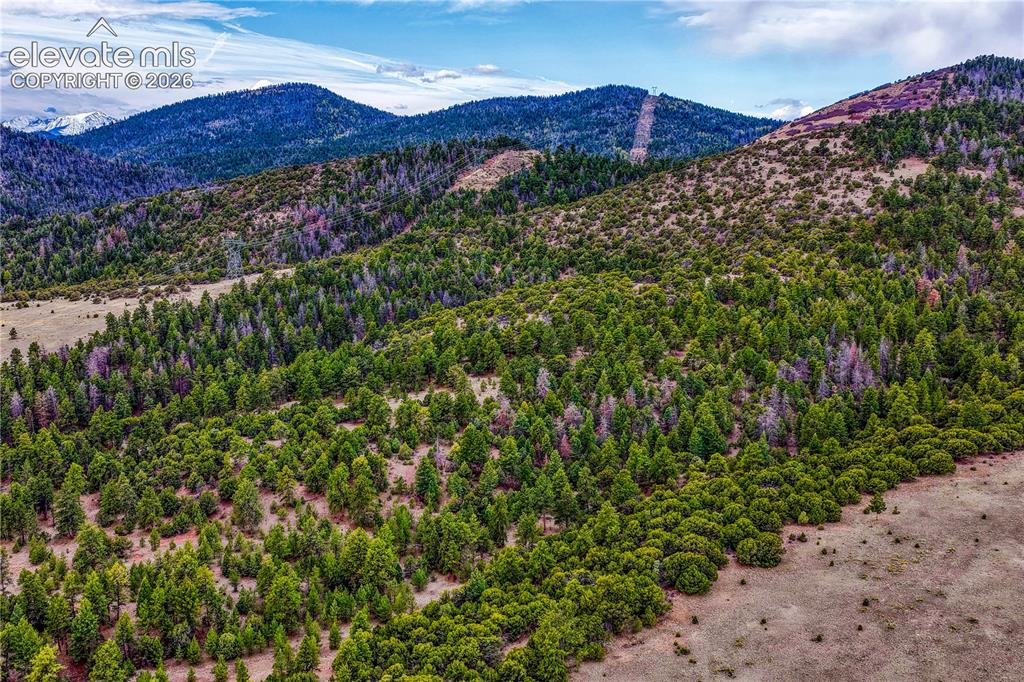 10475 County Road 12 Cotopaxi CO 81223