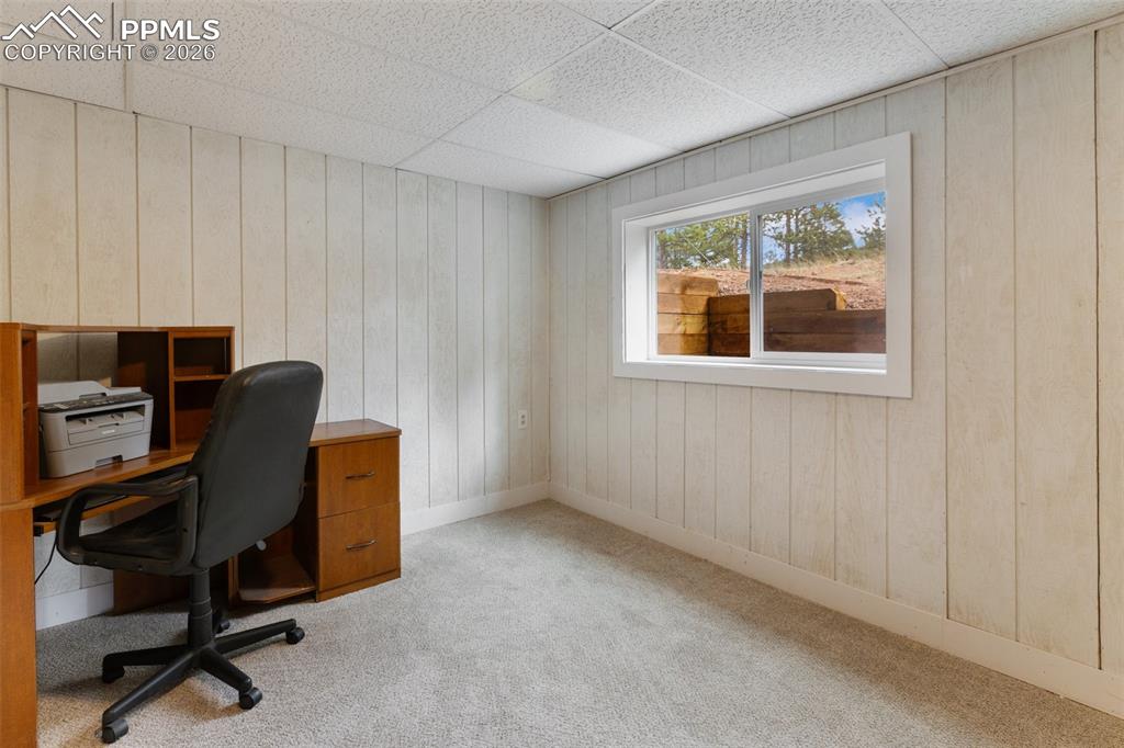 2061 Spruce Road Woodland Park CO 80863