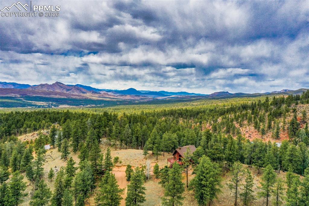 2061 Spruce Road Woodland Park CO 80863