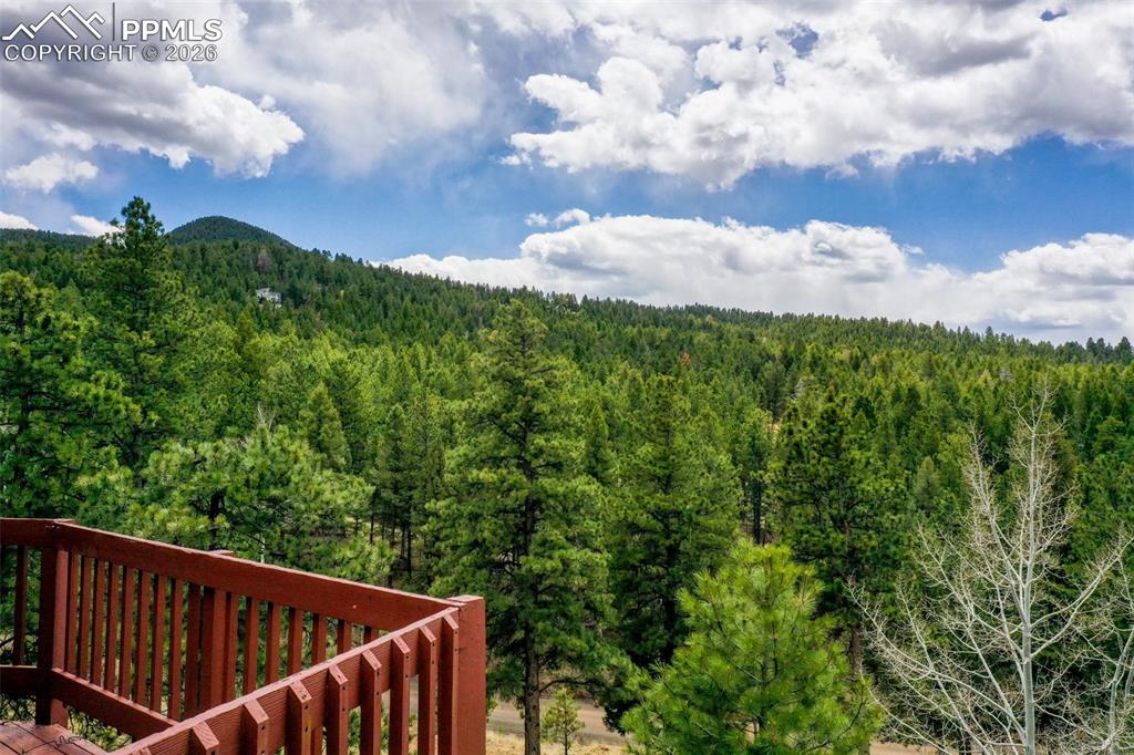 2061 Spruce Road Woodland Park CO 80863