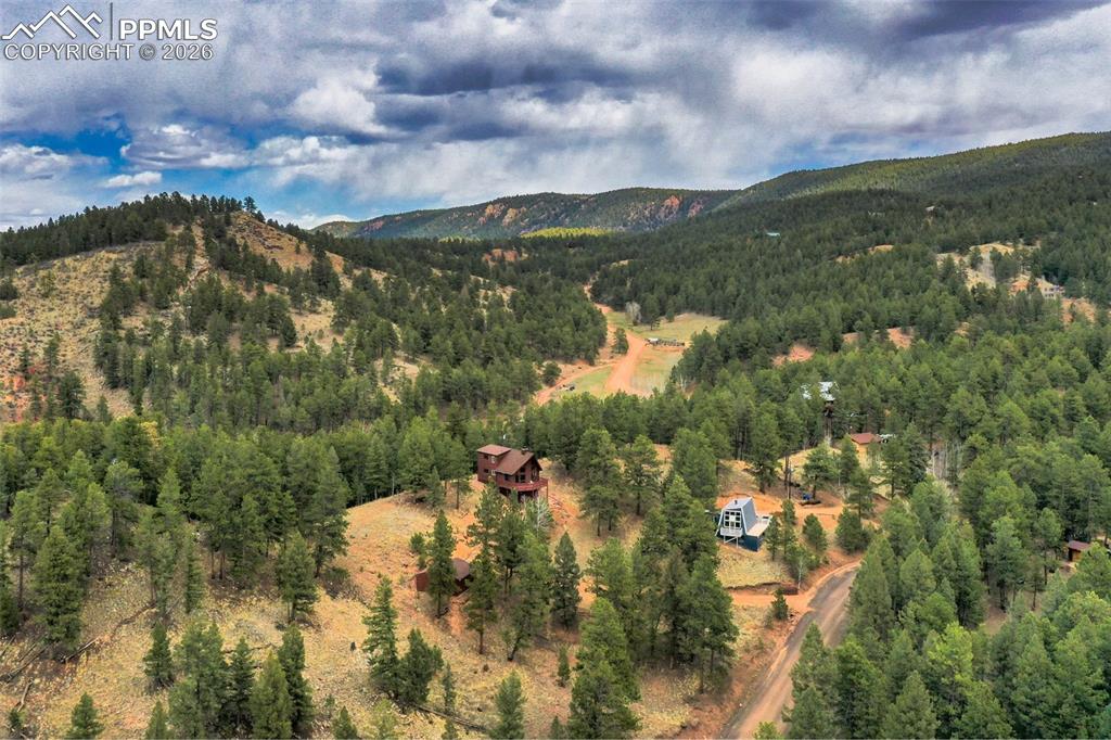 2061 Spruce Road Woodland Park CO 80863