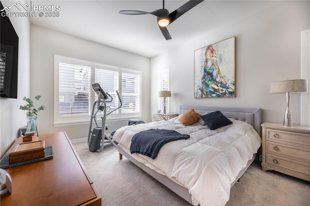 124 Kitselman Drive Castle Rock CO 80104