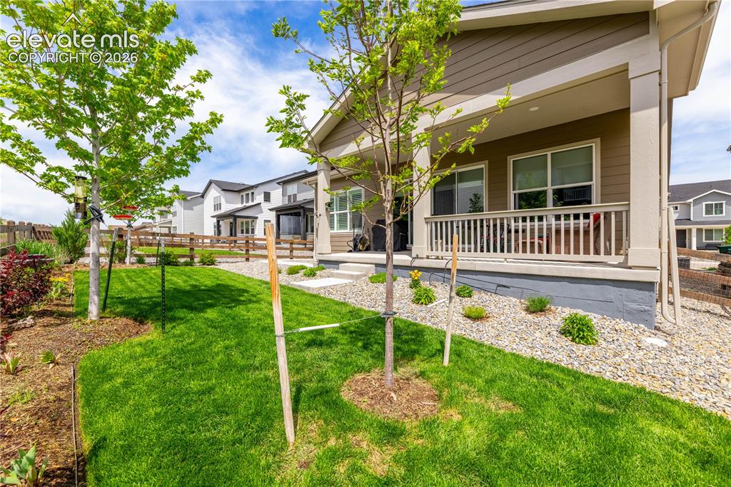 124 Kitselman Drive Castle Rock CO 80104