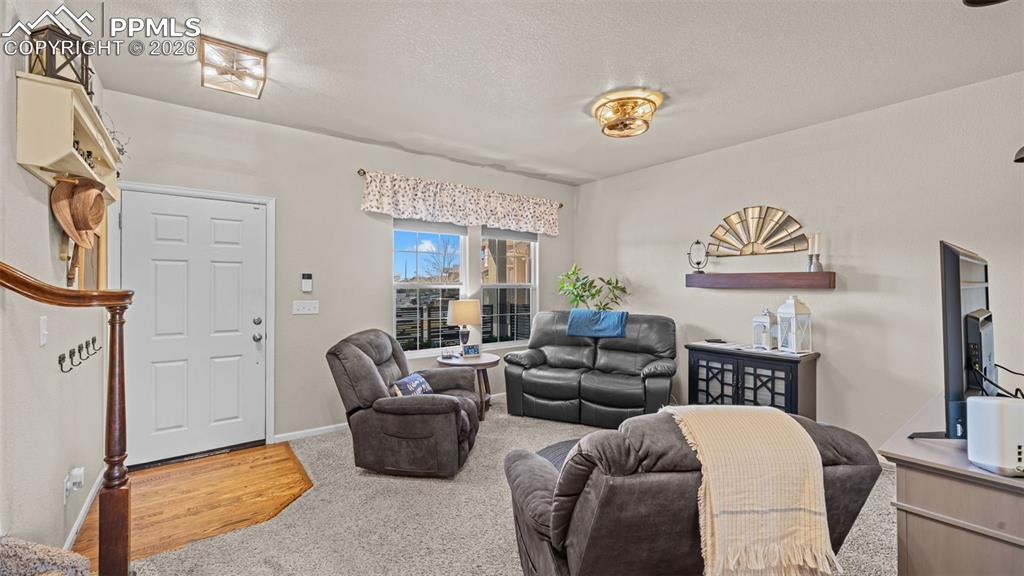 7507 Forest Valley Loop Colorado Springs CO 80908