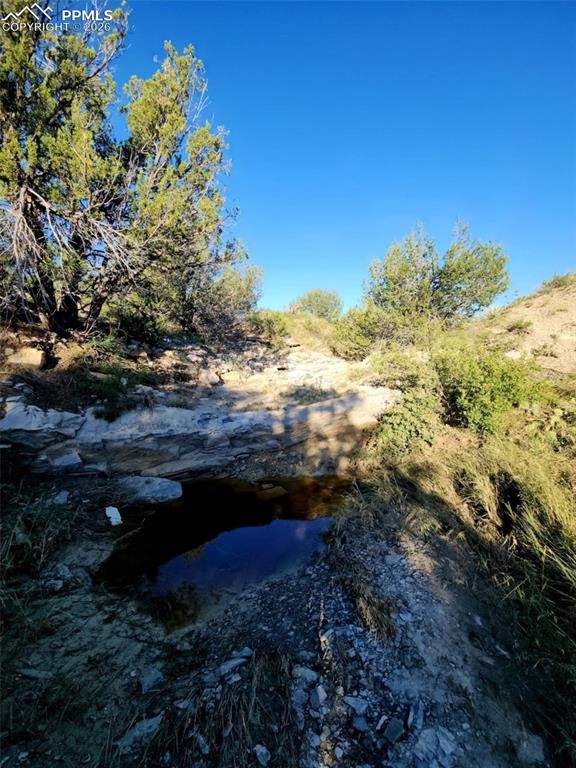 7480 Red Creek Springs Road Pueblo CO 81005