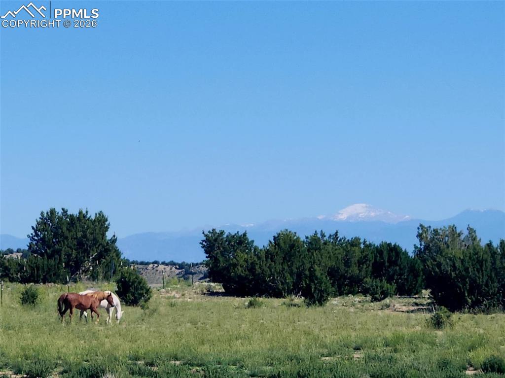 7480 Red Creek Springs Road Pueblo CO 81005