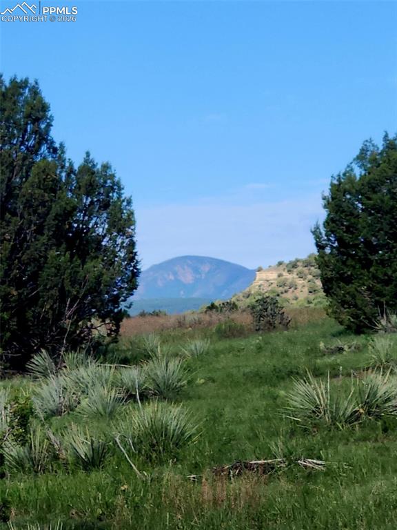7480 Red Creek Springs Road Pueblo CO 81005
