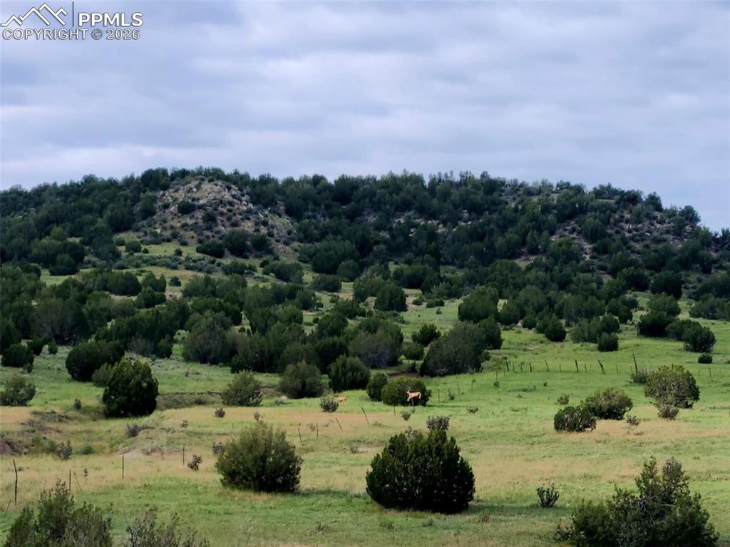 7480 Red Creek Springs Road Pueblo CO 81005