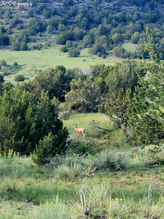 7480 Red Creek Springs Road Pueblo CO 81005