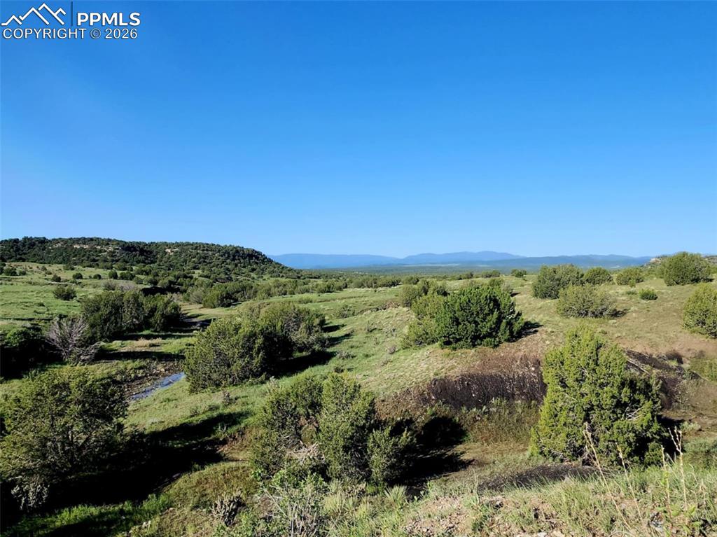 7480 Red Creek Springs Road Pueblo CO 81005