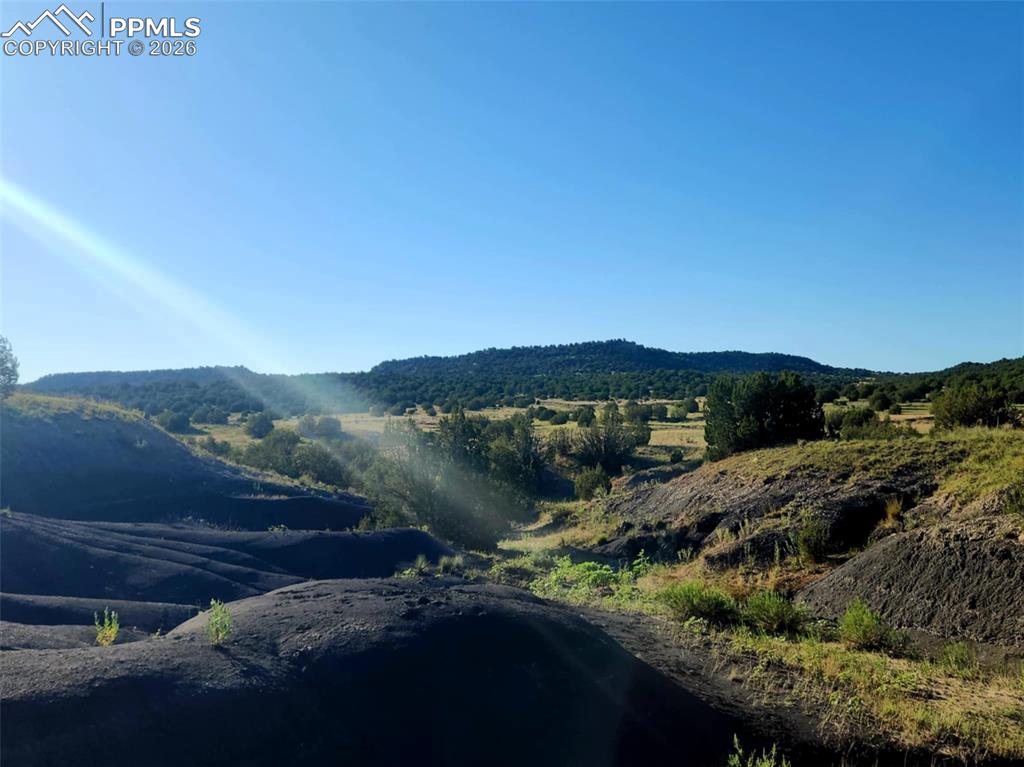 7480 Red Creek Springs Road Pueblo CO 81005