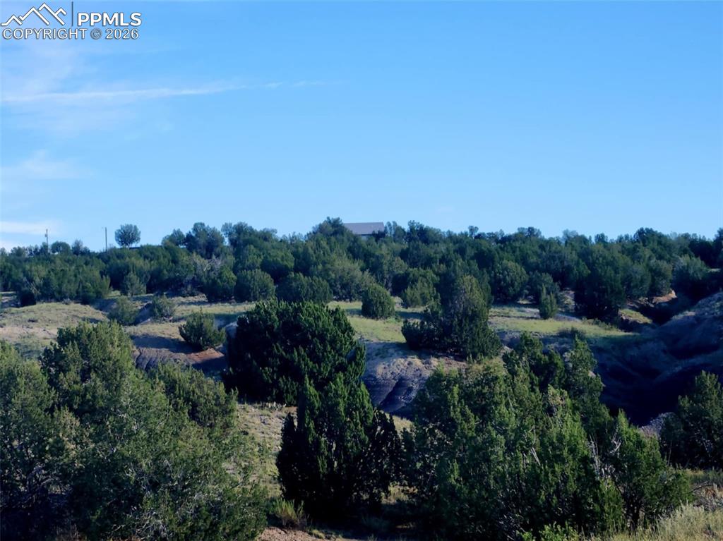 7480 Red Creek Springs Road Pueblo CO 81005